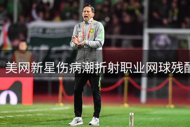 美网新星伤病潮折射职业网球残酷现实