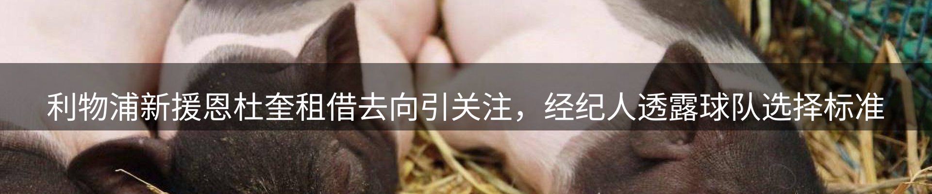 网站资讯
