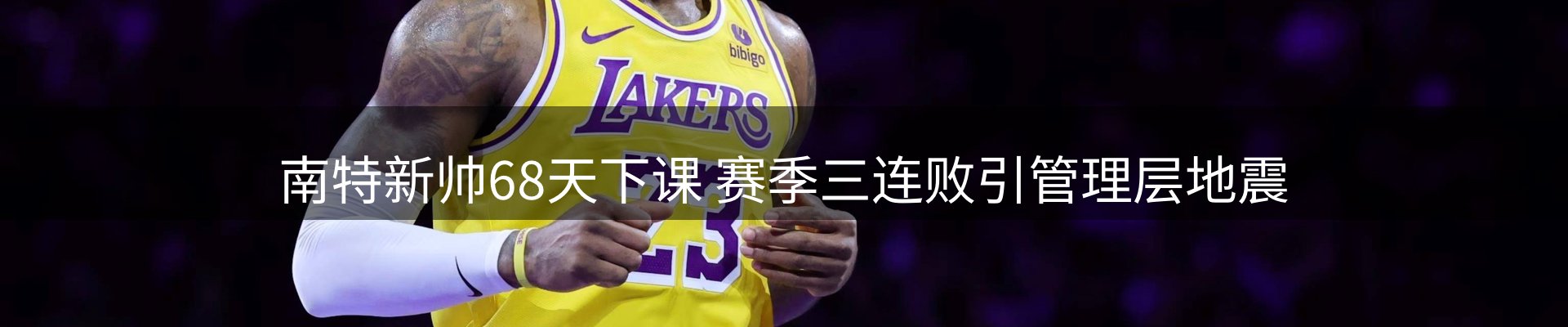 网站资讯