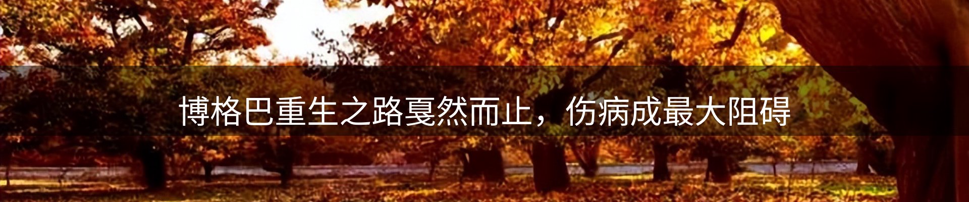 网站资讯