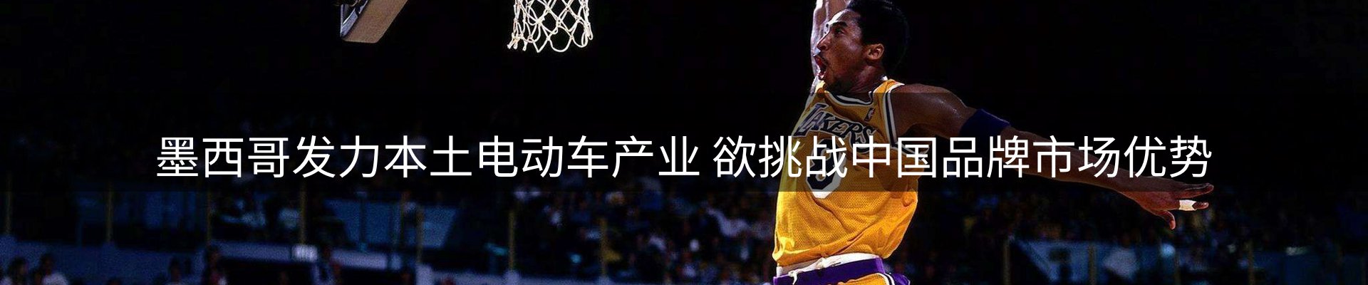 网站资讯