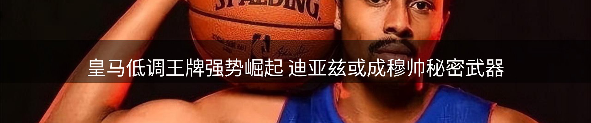 网站资讯