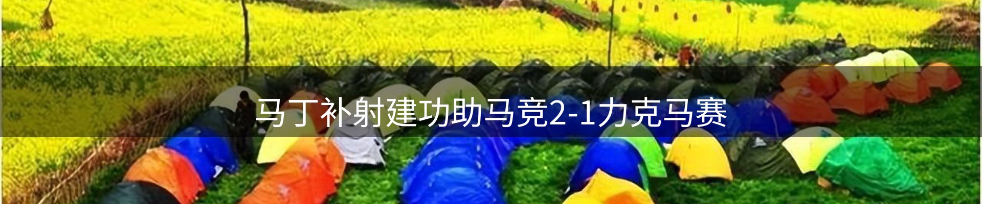 网站资讯