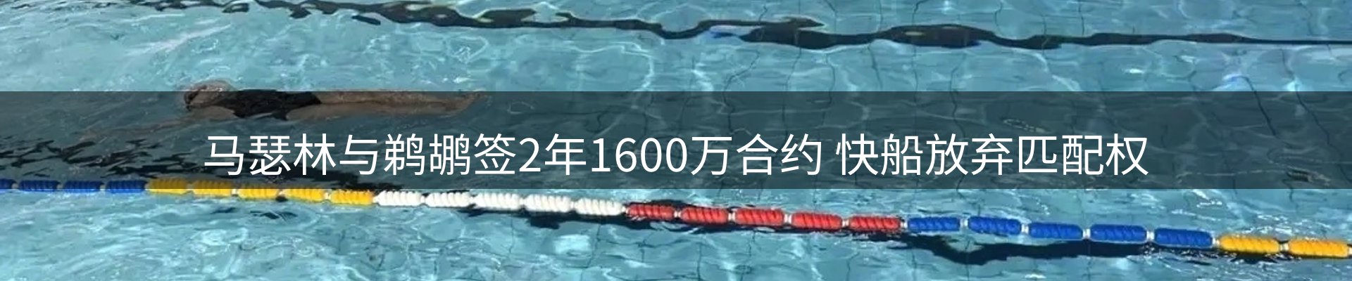 网站资讯