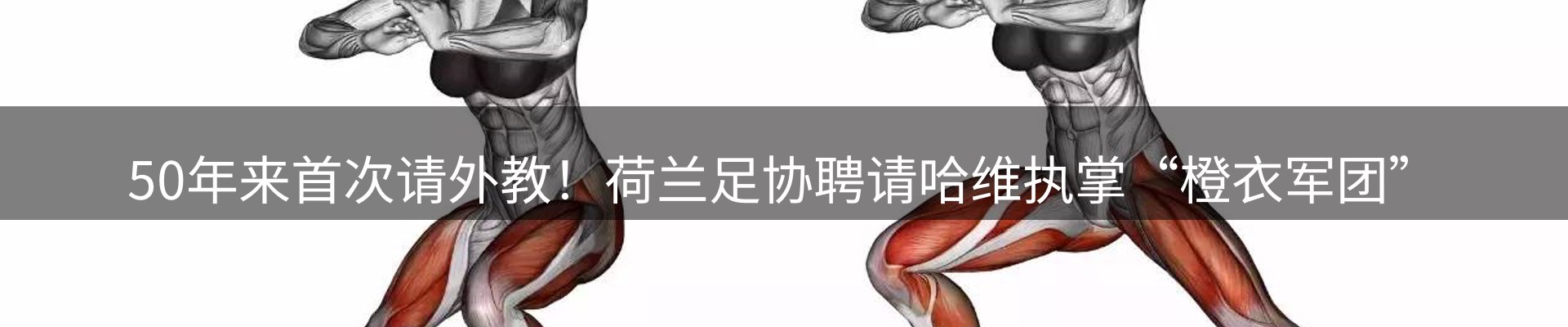 网站资讯